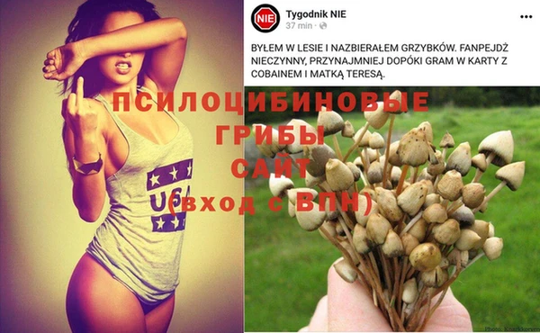 mix Алексеевка
