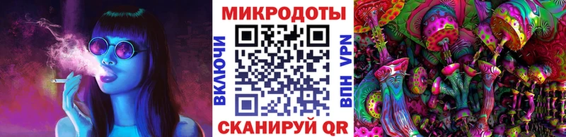Псилоцибиновые грибы Psilocybine cubensis  Фурманов 